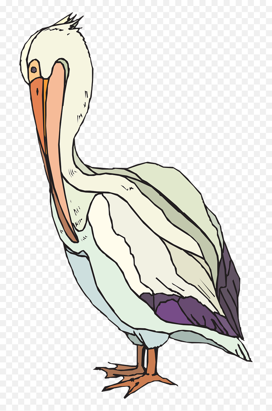 Clipart - Pelican Cartoon Realistic Emoji,Pelican Emoji