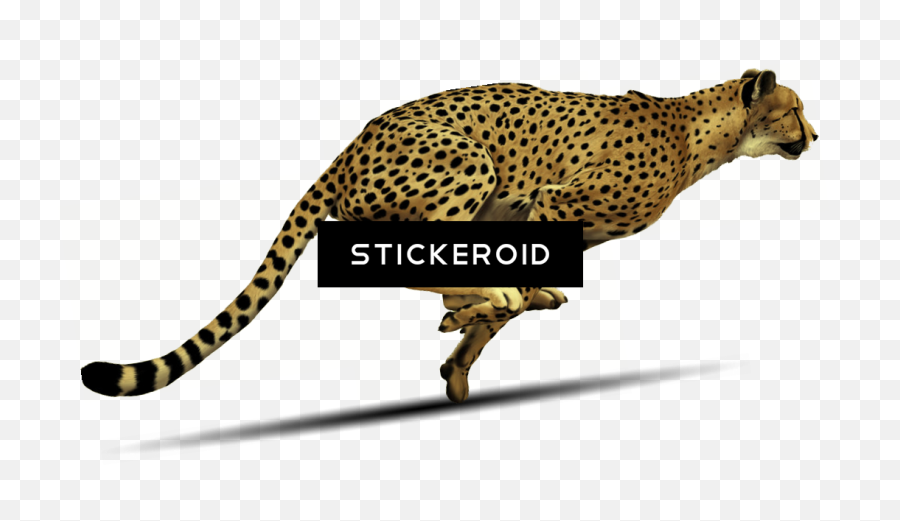 Cheetah Running Clipart - Cheetah Transparent Background Emoji,Cheetah Emoji