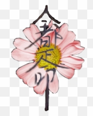 Japanese Flower Blossom Carolemajandra - Daisy Emoji,Japanese Emoji Flower