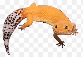 Lizard Reptile Gecko Cute Sticker - Animal Figure Emoji,Lizard Emoji