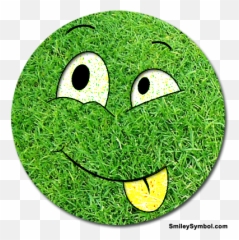 Stunningly Designed Grass Smiley - Cartoon Emoji