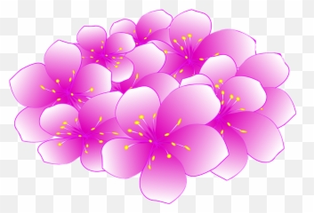 Sakura Flower - Cherry Blossom Emoji,Sakura Blossom Emoji