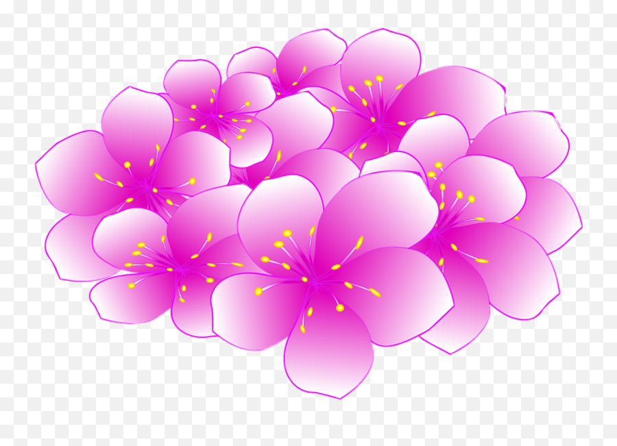 Sakura Flower - Cherry Blossom Emoji,Sakura Blossom Emoji