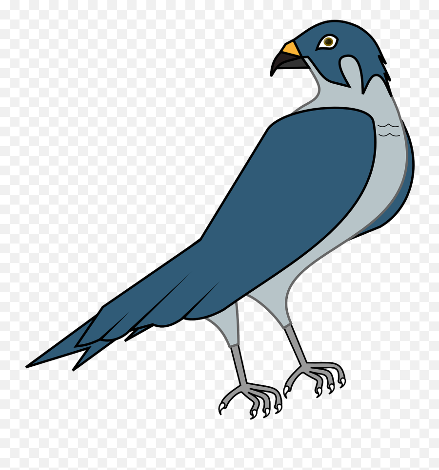 Hawk Bird Falcon Hunter Predator - Peregrine Falcon Clipart Emoji,Albanian Eagle Emoji