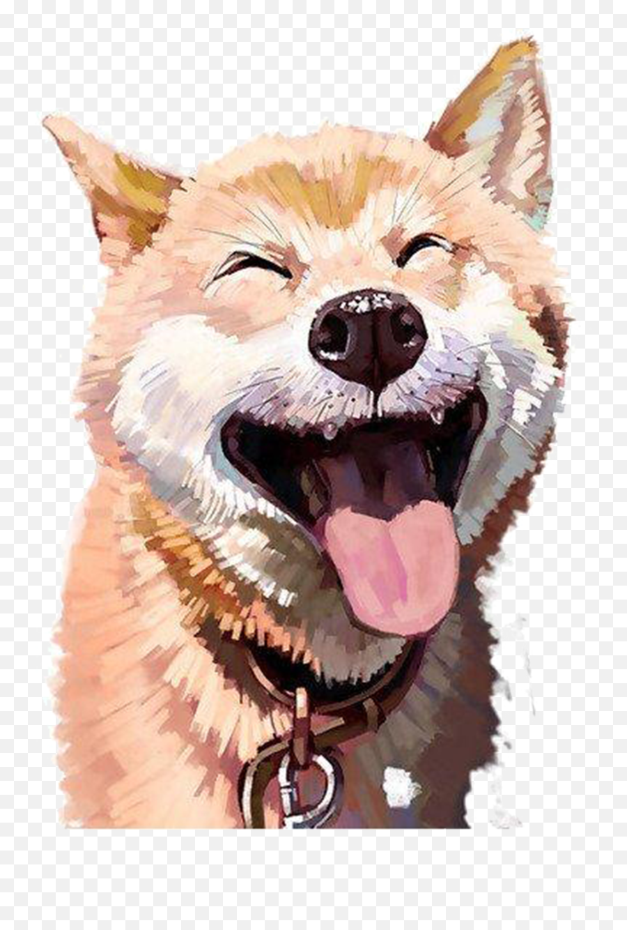 Doge Transparent Png Picture - Realistic Shiba Puppy Drawing Emoji,Doge Emoji