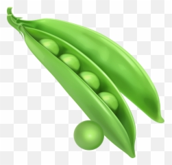 Snap Peas Clipart - Png Emoji
