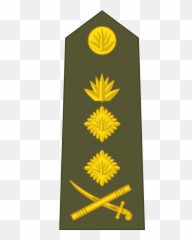 Bangladesh - Ranks In Zimbabwe Army Emoji