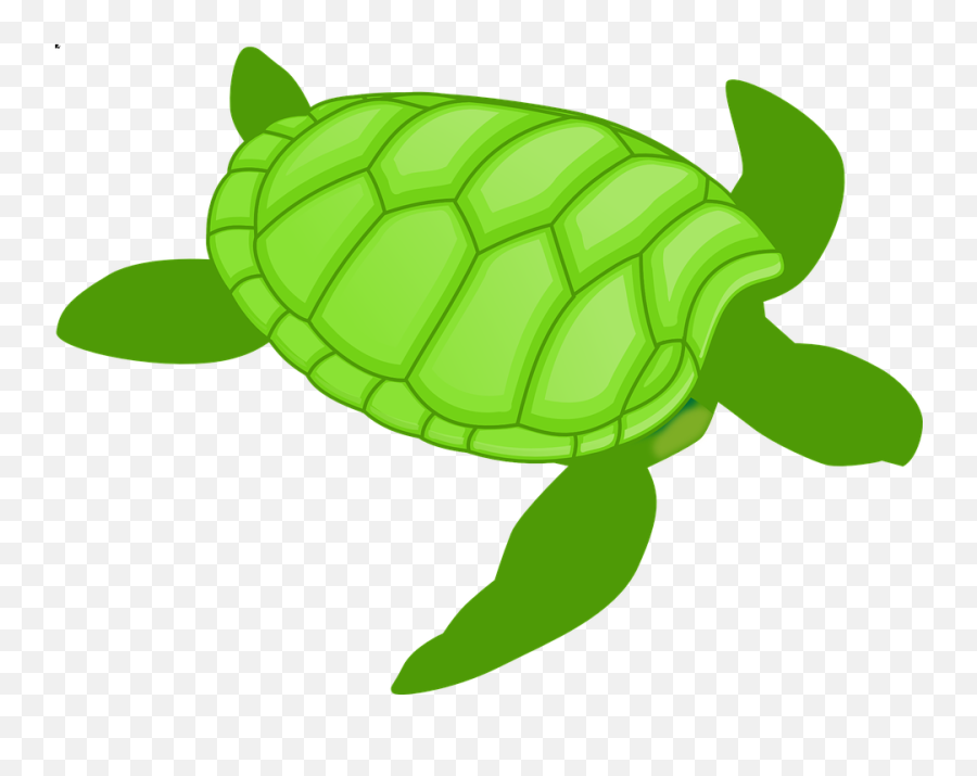Turtle Clipart Template - Transparent Background Sea Turtle Clipart Emoji,Google Turtle Emoji