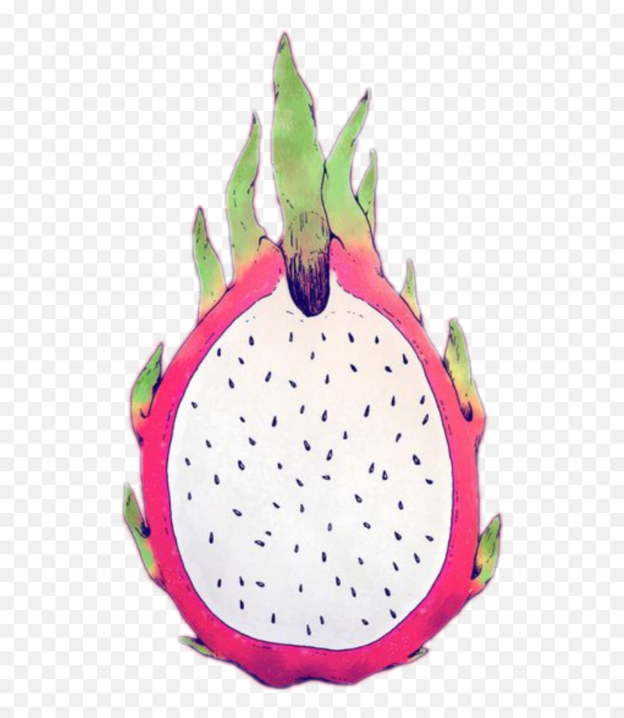 Largest Collection Of Free - Dragonfruit Emoji,Dragon Fruit Emoji