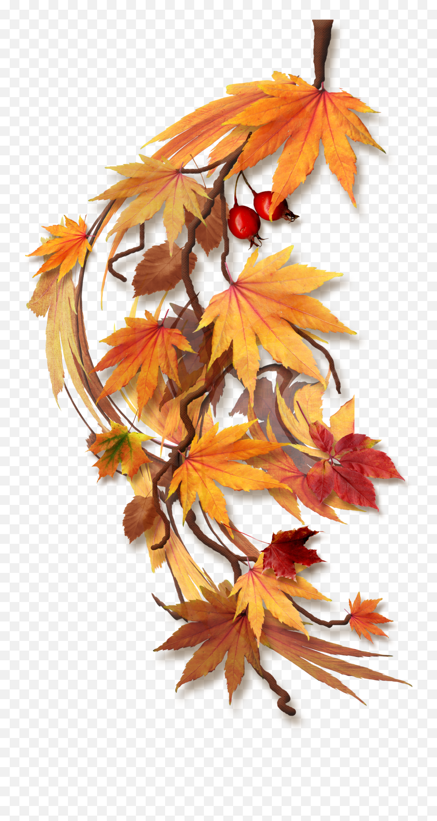 Pressed Flower Art - Feuilles D Automne Png Emoji,Autumn Emoji