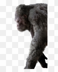 Gorilla Ape Fantasy - George Rampage Png Emoji,Ape Emoji
