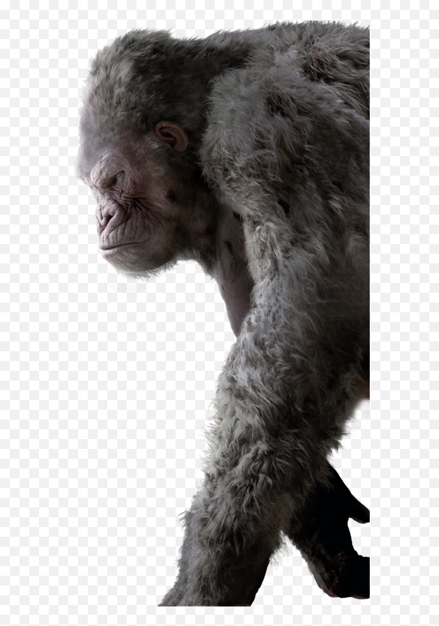 Gorilla Ape Fantasy - George Rampage Png Emoji,Ape Emoji