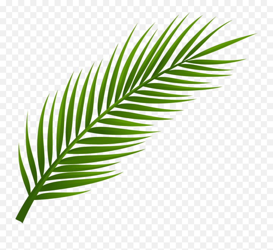 Emoji Clipart Leaf Emoji Leaf Transparent Free For Download - Palm Tree Leaf Png,Palm Tree Emoji