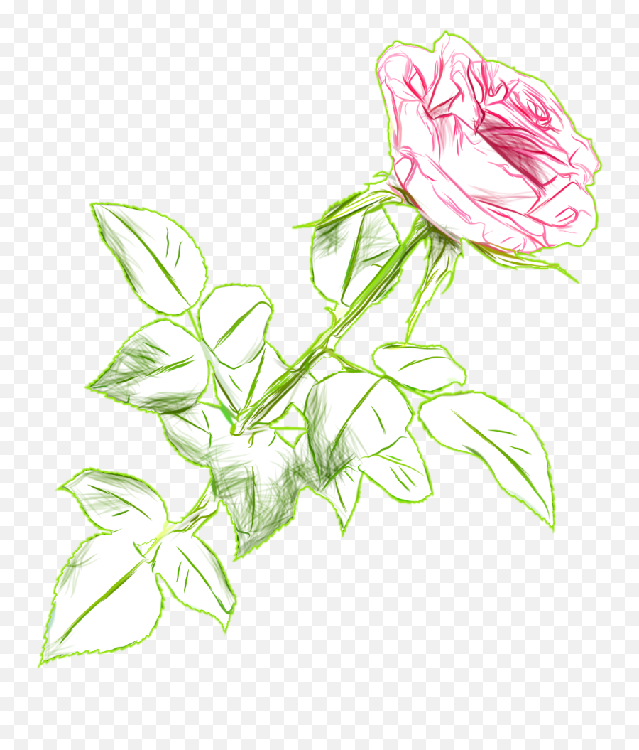 Rose Drawing Color Png Picture Image U2013 Clipartlycom - Flowers Drawing Color Transparent Emoji,Roses Emoticon