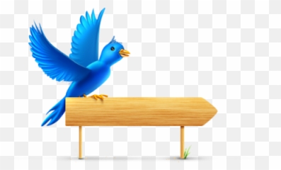 Twitter Clipart Size For Free Download - Above Preposition Of Place Emoji,Bluebird Emoji