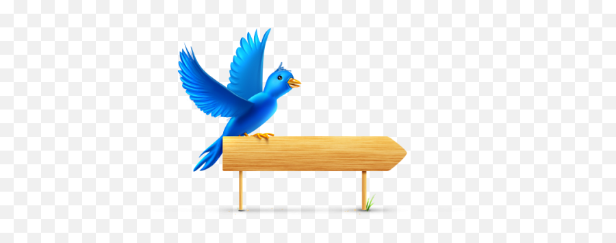 Twitter Clipart Size For Free Download - Above Preposition Of Place Emoji,Bluebird Emoji