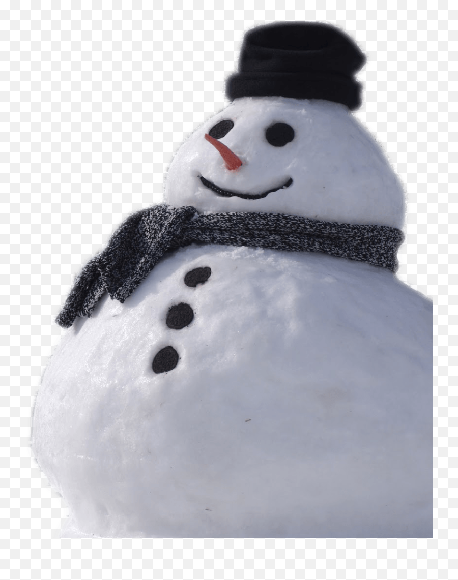 Real Snowman Png Transparent Png Png Collections At Dlfpt - Real Snowman Png Emoji,Snow Man Emoji
