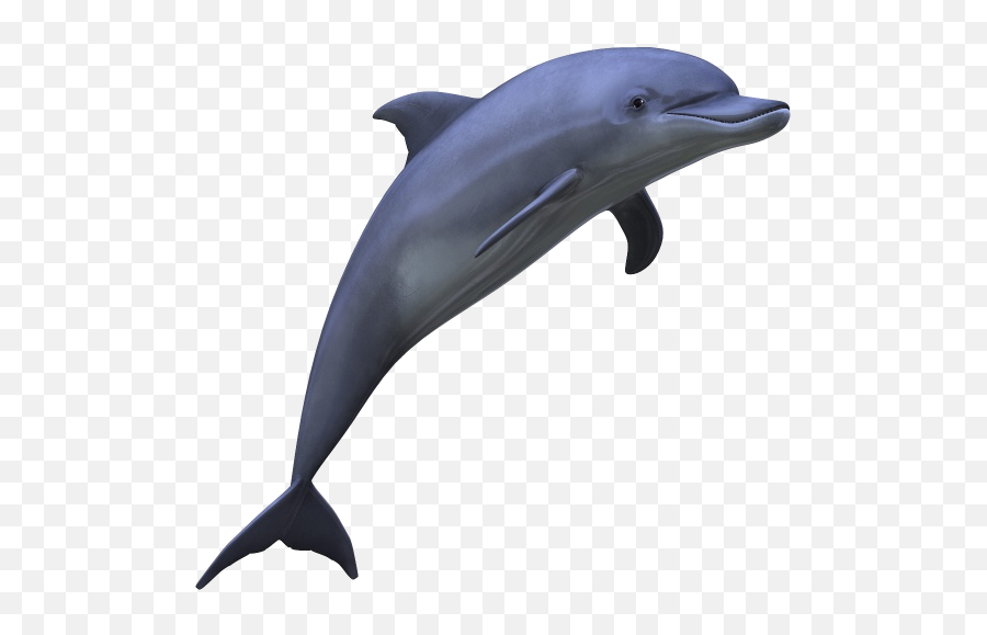Dolphin Psd Official Psds - Dolphin Transparent Background Emoji,Dolphin Emoji