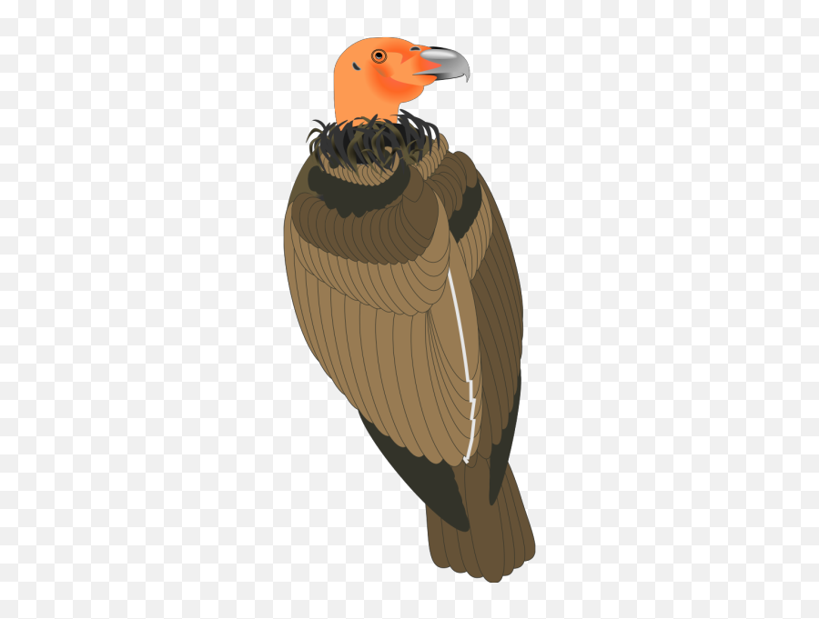 Vulture Png Svg Clip Art For Web - California Condor Emoji,Vulture Emoji