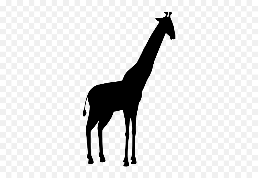 Elegant Giraffe Sticker - Giraffe Emoji,Giraffe Emoji
