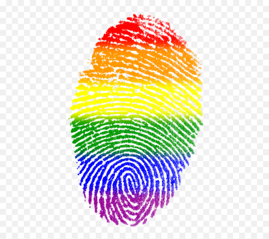 Fingerprint Gay Flag - Lgbt Pride Png Emoji,Bisexual Flag Emoji
