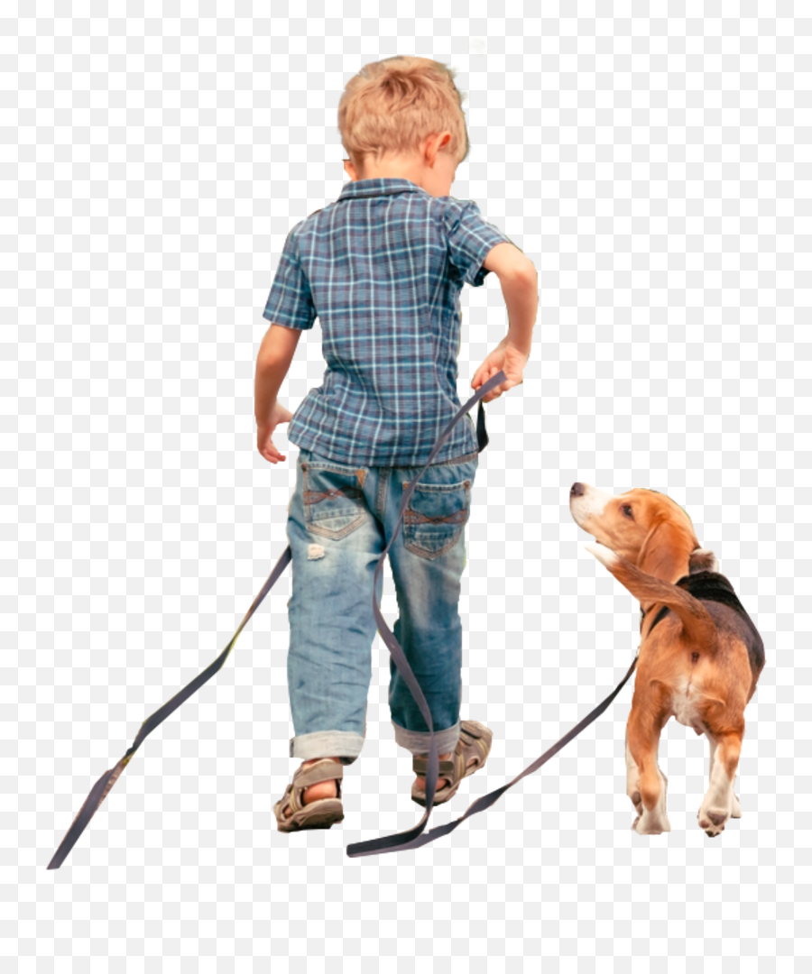 Littleboy Dog Leash Freetoedit - Companion Dog Emoji,Leash Emoji