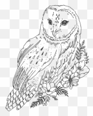 owl Sticker by Lucia Gloria Zivago - Great Grey Owl Emoji