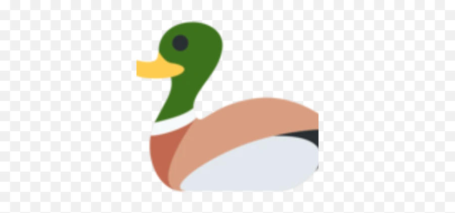 Kwaaq The Mcguinness Experiment Wiki Fandom - Duck Emoji Twitter,Squiggly Mouth Emoji