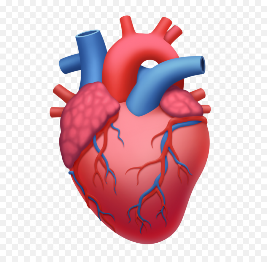 Emoji2020iphoneipadapple Watch - Anatomical Heart Emoji,Emoji For Rolex