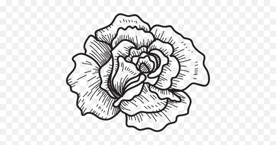 Flower Sketch Png Flower Sketch Png Transparent Free For - Rose Sketch Icon Emoji,Flower Emoji Vector