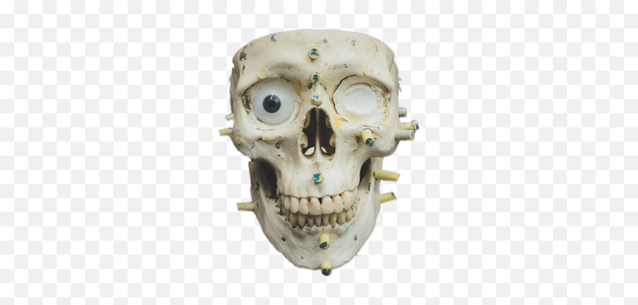 Search Results For Skulls And Skeletons - Happy Halloween Transparente Emoji,Skull Water Skull Emoji