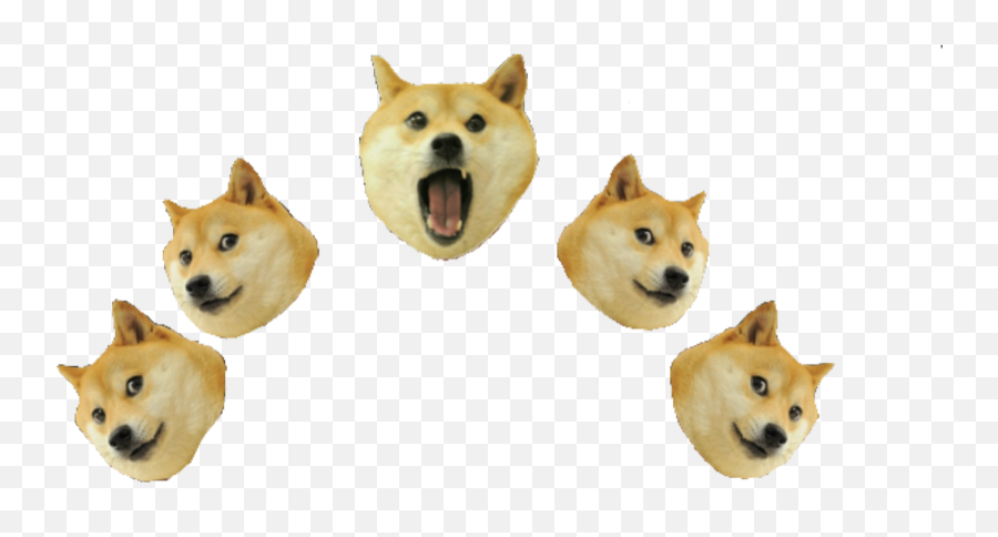 Crown Dogecrown Doge Meme Snapchat Snap - Doge Emoji,Doge Emoji