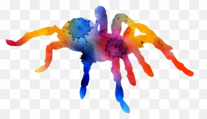 Spiders Sticker Challenge on PicsArt - Creative Arts Emoji