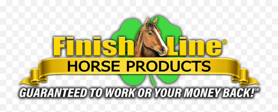 Seminar U2014 Hambletonian Society - Finish Line Horse Products Emoji,Horse Emoticon