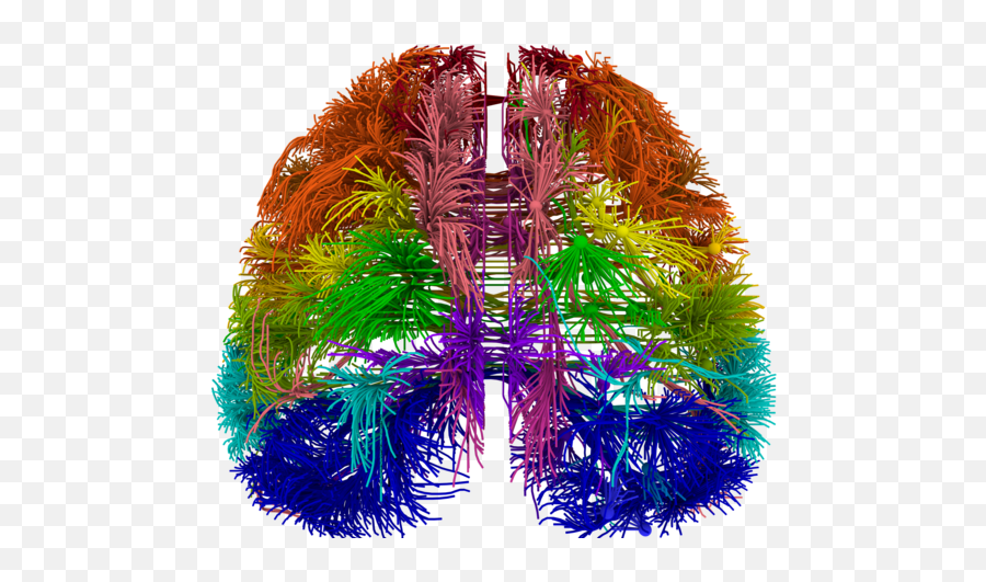 The Five Senses And The Nature Of Perception Psychology Today - Brain Neuron Connections Emoji,Smoke Out Of Nose Emoji