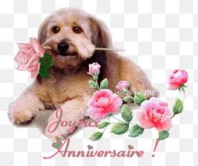 Top Charles Zi Britannia Stickers For - Anniversaire Gif Anime Gratuite Emoji,Snoopy Dance Emoticon
