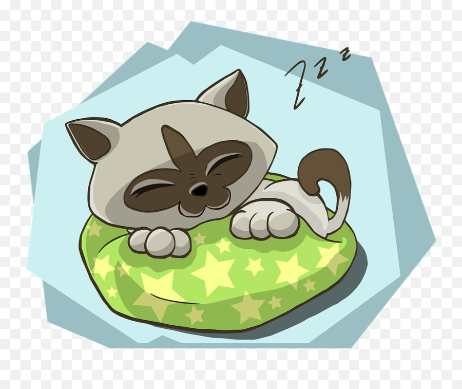 Kitten Kitty Cat - Sleep Animal Zzz Emoji,Sleeping Emoji Pillow