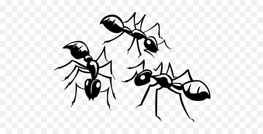 Three Detailed Ants Sticker - Clipart Ants Emoji,Ant Emoji