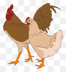 Chicken Clipart Fowl - Hen And Rooster Emoji