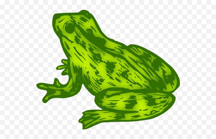 Frog 9 Colour - Colour Picture Of Frog Emoji,Lily Pad Emoji
