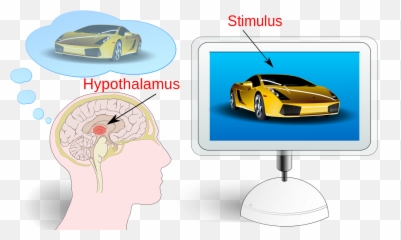 Neuromarketing Fr - Neuromarketing Emoji,Fast Car Emoji