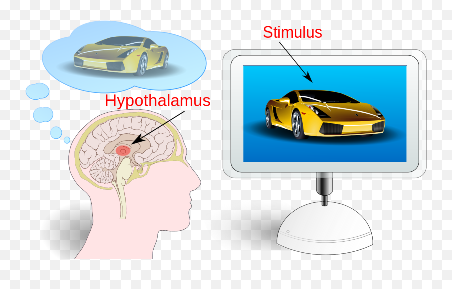 Neuromarketing Fr - Neuromarketing Emoji,Fast Car Emoji