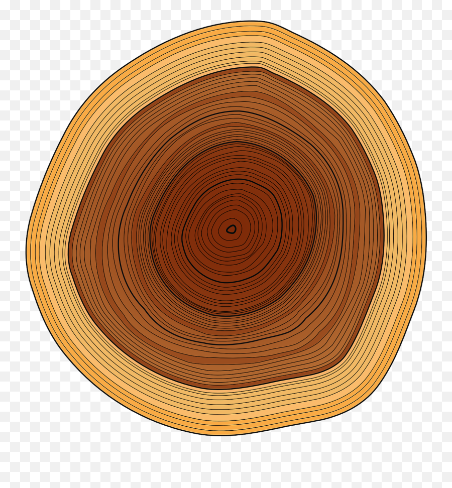 Annual Rings Trunk Tree Rings Wood - Kasturi Emoji,Two Diamond Emoji
