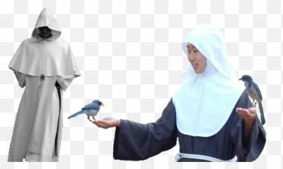 Vocation Promotion - Rock Dove Emoji,Bluebird Emoji