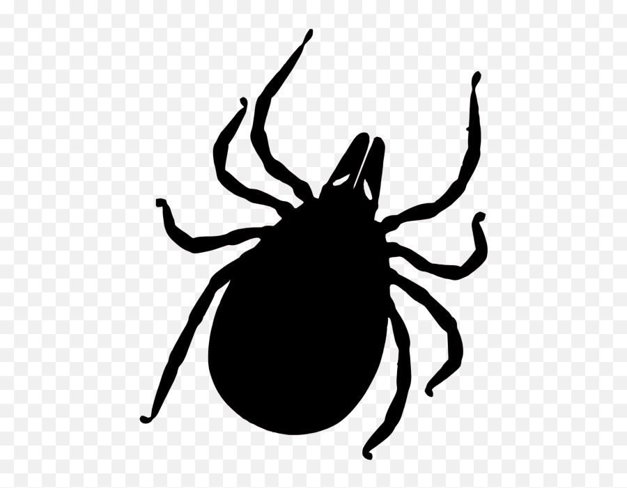 Vector Parasite Tick Transparent U0026 Png Clipart Free Download - No Ticks Png Emoji,Bug Emojis