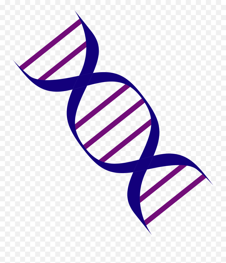 Dna Gene Clipart - Gene Clipart Png Emoji,Gene Emoji