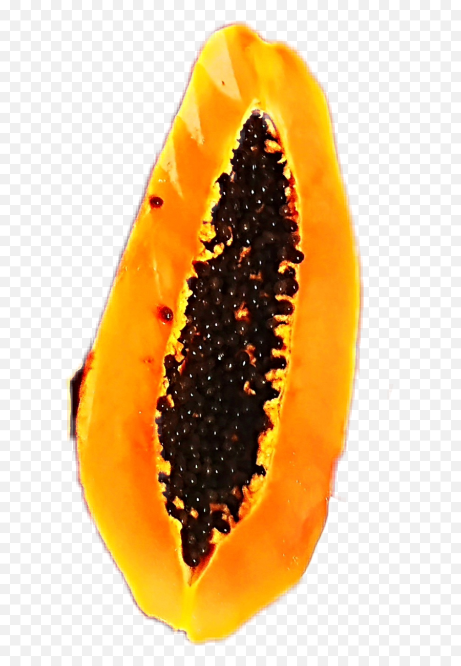 Papaya Sticker - Superfood Emoji,Papaya Emoji