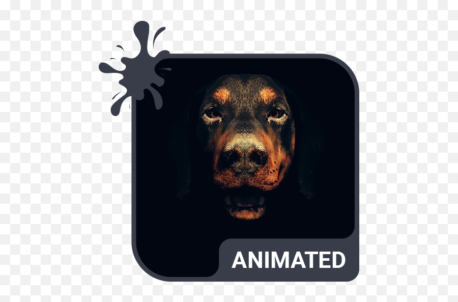 Dog Animated Keyboard Live Wallpaper - Water Animated Keyboard Emoji,Dog Emoji Keyboard