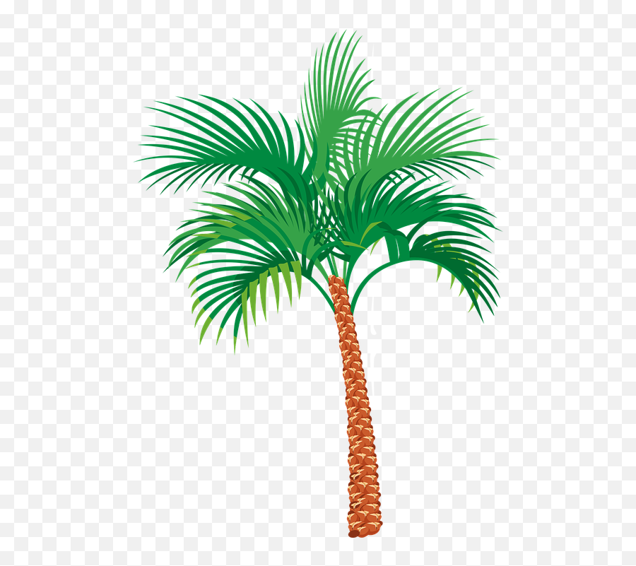 Palm Tree Exotic Vacation - Palm Tree Gif Png Emoji,Palm Tree Book Emoji