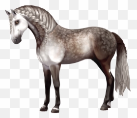 Horse Andalusian Andalusianhorse - Star Stable Horses Andalusians Emoji